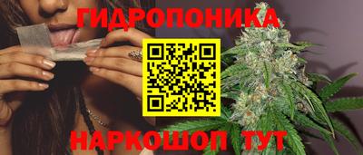 шишки Нальчик