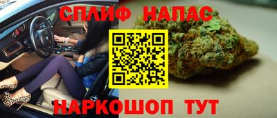 шишки Нальчик
