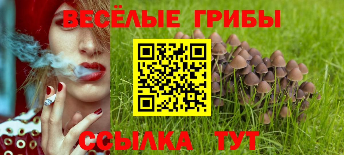 Галлюциногенные грибы Cubensis  Псилоцибиновые грибы Psilocybine cubensis  наркота  Вход с VPN  Якутск 
