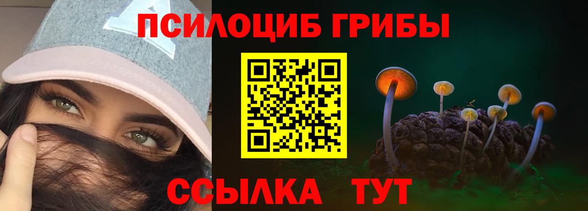 Галлюциногенные грибы MAGIC MUSHROOMS Якутск